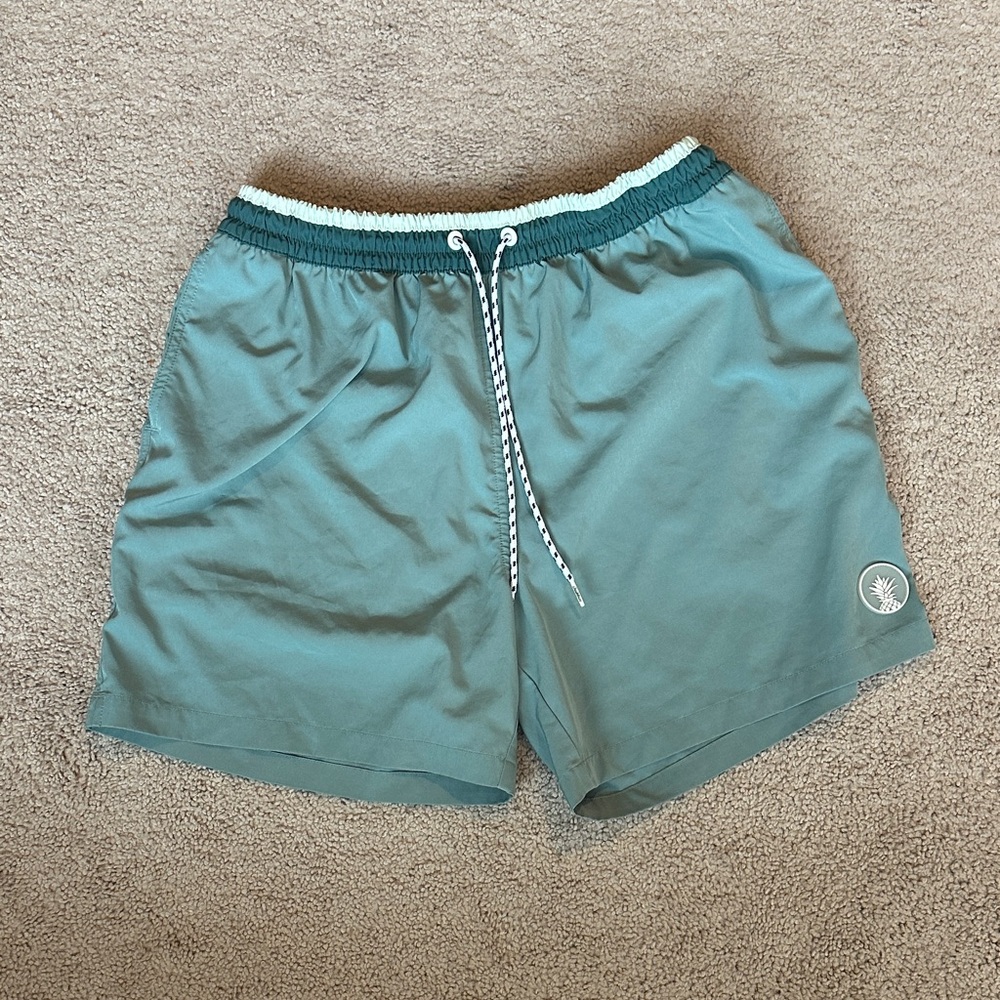 Chubbies Aqua Swim Shorts with Pineapple Logo Patch